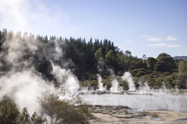 tnz-mh-rotorua7-100015A7E3E5-489A-B455-1F22-8A8EFDF95596.jpg