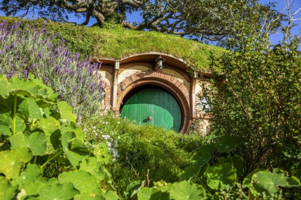 tnz-hh-hobbiton-waikato-7-1000A7DA6DF6-161E-5720-E6D3-BF543E2A2B8C.jpg