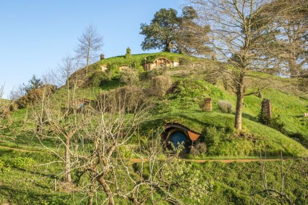 tnz-mh-hobbiton-waikato4-1000144F680C-E16B-F922-D66D-0EDE62FE371B.jpg